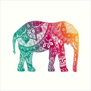 Meet your Posher, Mitali